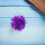 60Pcs Reusable Plastic Archery Vanes in Purple for Precision Shooting 4