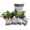 Hirt's Terrarium Kit med 5 planter og 5 bregner 1