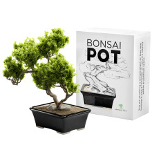 Geglazuurde Keramische Bonsai Pot - Keramische Plantenbak voor Succulenten en Kleine Planten - Zwarte Rechthoekige Pot