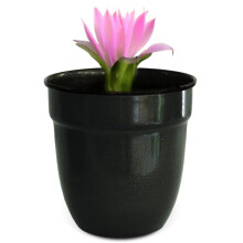 Headwind Glaseret Jernsten Boutique Samling Blomsterkrukke Indendørs - Mini Venti 5 Tommer - Grafit Farve