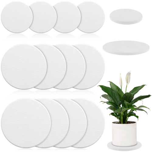 12Pack Diatomaceous Earth Coaster 4/6/8inch Tørreskål til planter Vandabsorberende