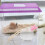 Material Hamster Bathtub Transparent Daily Use 1pack 4