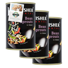 Stir Fry Vegetable Bundle with Kingsfisher Bean Sprouts In Water 410g 3 Pack + Brightdale Kitchen Booklet