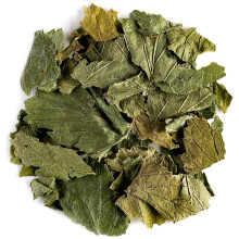 Black Currant Organic Leaf Tea - Great With Deserts - Ribes Nigrum - The Currant Bush Black Currant Leaves Tea Black Currant Leaf Of Black Currant