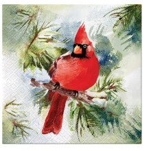 3Ply Xmas Winter Style Christmas Tissue Paper Napkins for Decoupage 33cm x 33cm Serviettes - Pack of 20 (Winter Cardinal)