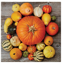3-Ply Halloween Theme Decoupage Serviettes Tissue Paper Napkins Serviettes 33cm x 33cm - Pack of 20 (Pumpkin Composition)