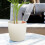 8 pointes d'arrosage pour plantes pour les vacances ou le bureau 1