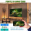 TV-Box – LPNOVE – X96Q – Android 10.0 – 4K – WLAN 2,4 GHz 3