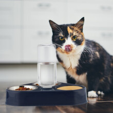 Doppelnapf-Futternapf mit Wasserspender