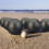 Petanque-Boule-Set - 8 Kugeln mit Tragetasche 1