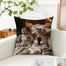 Schattige katten sierkussenhoes voor tuinmeubelen, design met kittens en een kattenfamilie, decoratieve kussenhoezen voor huisdecoratie voor bank,