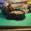 Reptile Carpet Mat 100x40cm Soft Reusable Breathable Green Polyester 9