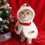 Kerstkostuum voor katten: kerstmuts en rode warme cape 1