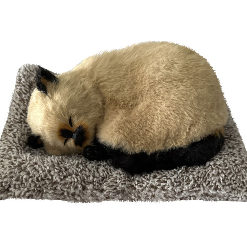 Brinquedo de pelúcia de gato em carvão de bambu com som, 27 x 19 cm (10,6 x 7,5 polegadas)