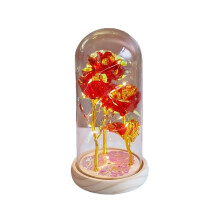 Rozen als Valentijnsdagcadeau voor vrouwen, Valentijns- en verjaardagscadeaus, een verlichte roos in een glazen stolp, rozen als Valentijnsdagcadeau,