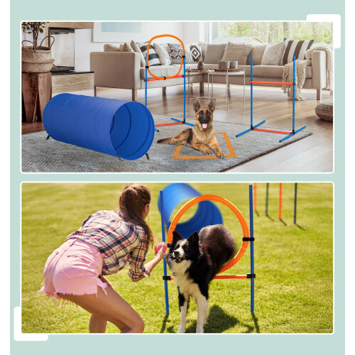 Hunde-Agility-Parcours-Set mit Tunnel, Hürden, Slalom