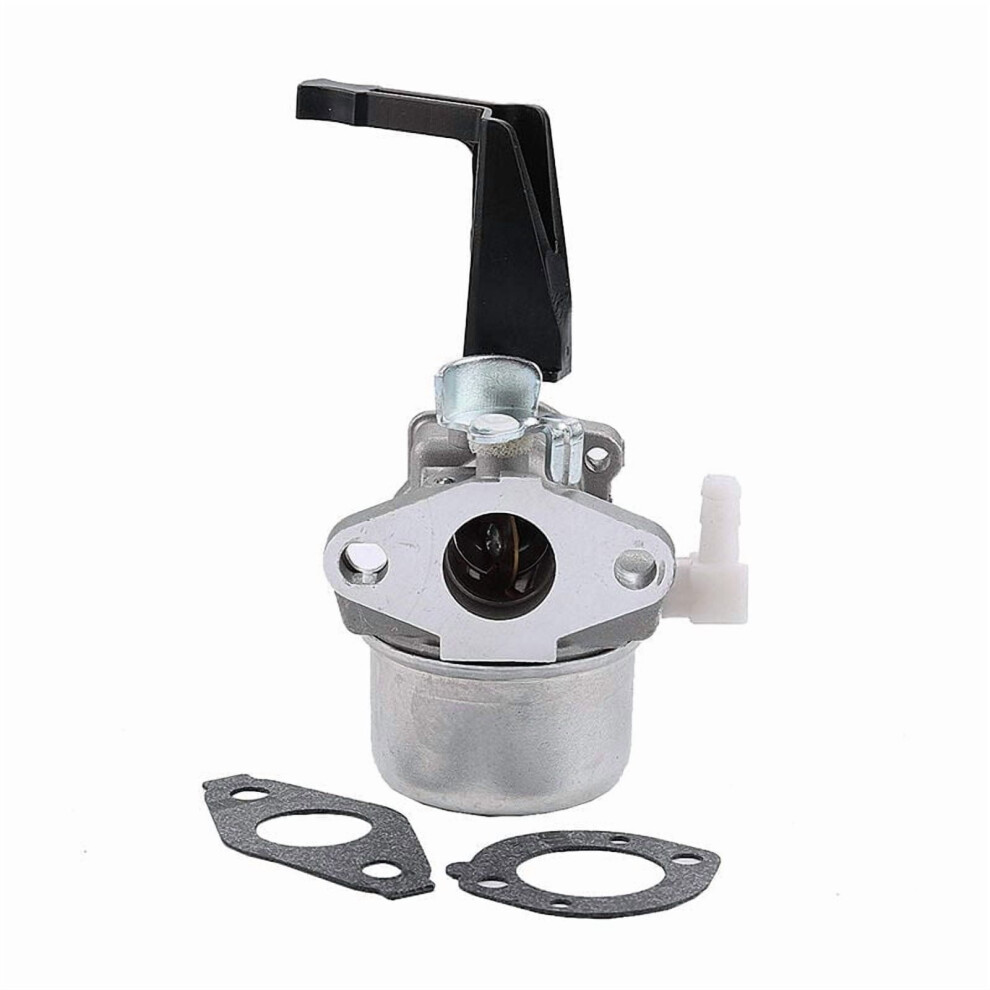 Carburetor 696065 Compatible With Briggs & Stratton 696065 697422 110402-0206-E1 9180479326588
