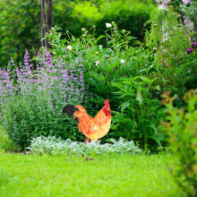 Dekorative Gartenfigur Hahn - lebensechte Statue für den Außenbereich