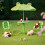 Set di mobili da esterno per bambini da 4 pezzi con ombrellone 1