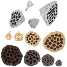 48 Pcs Dried Lotus Seedpods Diy Decor For Home Adornment