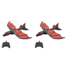 RC-Flugzeug Flying Dragon Modell EPP Schaumstoff 2,4 g 2er-Pack