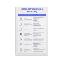 The Most Common Internal Parasites In Dogs And Cats Print Poster 2 Canvas for Living Room Bedroom Decor