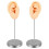 Realistic Soft Silicone Ear Model Practical Ear Studs Display Props Realistic Left and Right Human Ear Mannequin 1