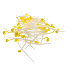 150 Pcs Fake Food Decors Artificial Vegetables For Photography