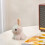 White Bunny Plush Toy Soft Cuddly Small Stuffed Animal 4