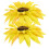 2 pinces à rideaux tournesol 1
