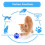 3Pcs Flash  Battery Powered Paranormal Equipment Portable Cat Small Motion Light  Gift Interactive Pet Toy LED 6
