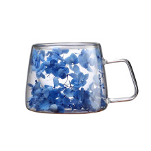 Doppelwandige Glas-Kaffeebecher mit Trockenblumen, hitzebeständig, mit Henkel, für Cappuccino/Tee/Milch – Weihnachts-/Geburtstagsgeschenk für