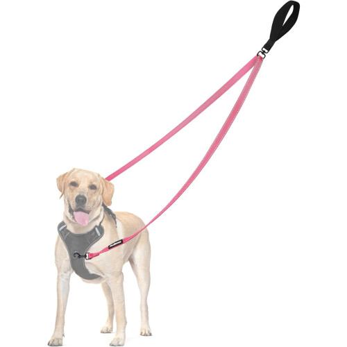 Two-Point Control Leash Compatible with No-Pull Harnesses, Tangle-Free, Padded & Reflective, Converts to Single Lead for Medium/Large Dogs 1