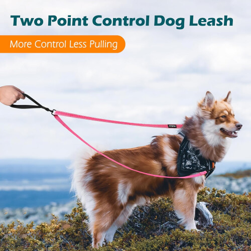 Two-Point Control Leash Compatible with No-Pull Harnesses, Tangle-Free, Padded & Reflective, Converts to Single Lead for Medium/Large Dogs 2