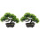 2St Groene Nepden Bonsai Plastic Decor Voor Binnenruimtes 1