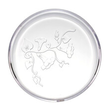 Aquarium Feeder Bowls Dish Tropical Fish Ratfish Feeding Cup Container Clear Acrylic Tray Round Container