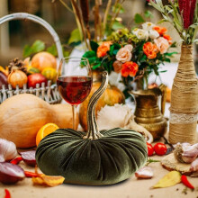 Garoy Velvet Foam Pumpkin Decor Set – Thanksgiving, Fall & Wedding Table Centerpiece, Farmhouse Kitchen Decor, Artificial Pumpkins with Stem