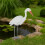 Heron Decoy for Dambeskyttelse - Hvid, holdbar plast 1