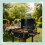 Kullgrillvogn med lokk, justerbart brett og termometer 1