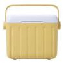 Caixa térmica de camping de 6 litros, caixa de gelo isolada, portátil, resistente, para uso externo, ideal para artigos esportivos (cor creme).