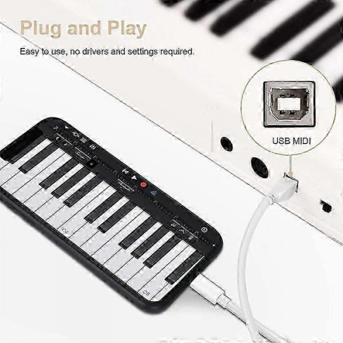 Cavo MIDI da 8 pin a USB-B da 1 m per iPad/iPhone 2