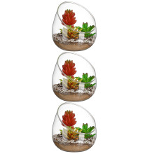 3Pcs Transparent Glass Terrarium Bottles Thickened Eco Decor for Home
