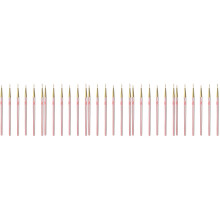 30Pcs Nail Art Liner Pens Rose Gold Nail Design Brushes for Salon Use