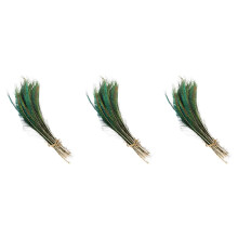 300Pcs Natural Green Tail for Wedding Party and Floral Crafts