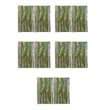 5St Reptielen Terrarium Achtergrond Bord Multi Kleuren Duurzaam Decor