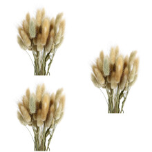 3St Natuurlijke Gedroogde Konijnenstaart Voor Foto Decoratie