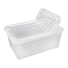 Terrario/box per l'allevamento di rettili, in materiale PP trasparente, spazioso e adatto a piccoli animali.
