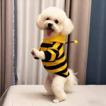 Moletom com capuz amarelo de abelha para animais de estimação, ideal para cães e gatos de pequeno porte (tamanho XL - 40 cm).
