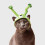 Alien Cat Hoofdtooi Kostuum One Size 1