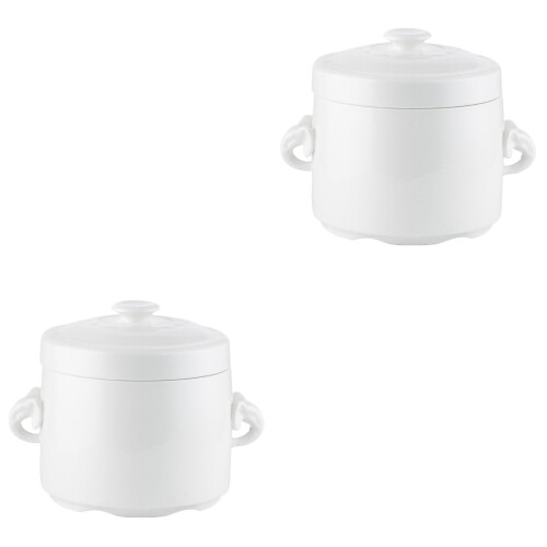2Pièces Bol Mixte Céramique Anses Pour Plats